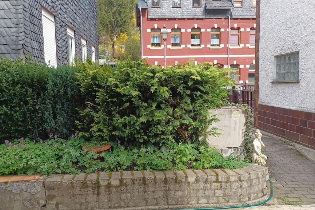 Ferienhaus Anna Altstadt Von زونهبرغ المظهر الخارجي الصورة
